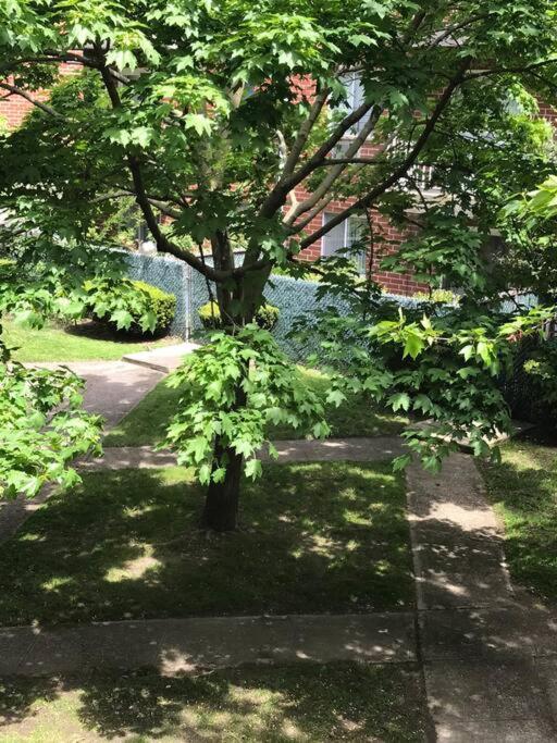 Brooklyn Luxury Spring Retreat With Private Outdoor Space Nowy Jork Zewnętrze zdjęcie