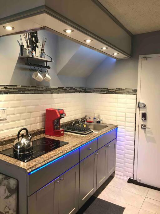 Brooklyn Luxury Spring Retreat With Private Outdoor Space Nowy Jork Zewnętrze zdjęcie