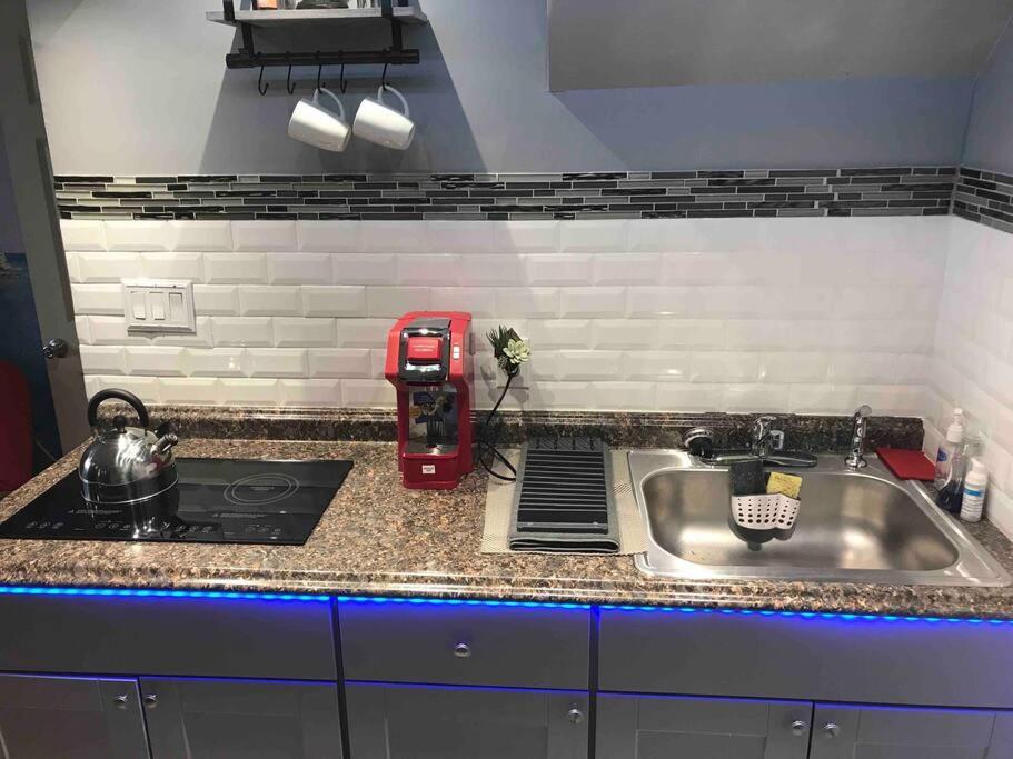 Brooklyn Luxury Spring Retreat With Private Outdoor Space Nowy Jork Zewnętrze zdjęcie