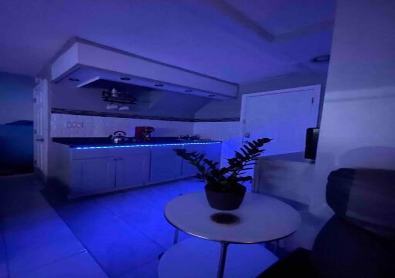 Brooklyn Luxury Spring Retreat With Private Outdoor Space Nowy Jork Zewnętrze zdjęcie